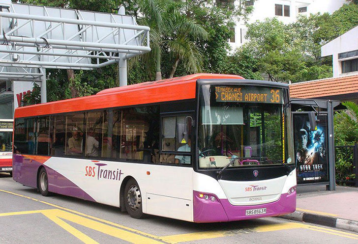 bus services singapore
